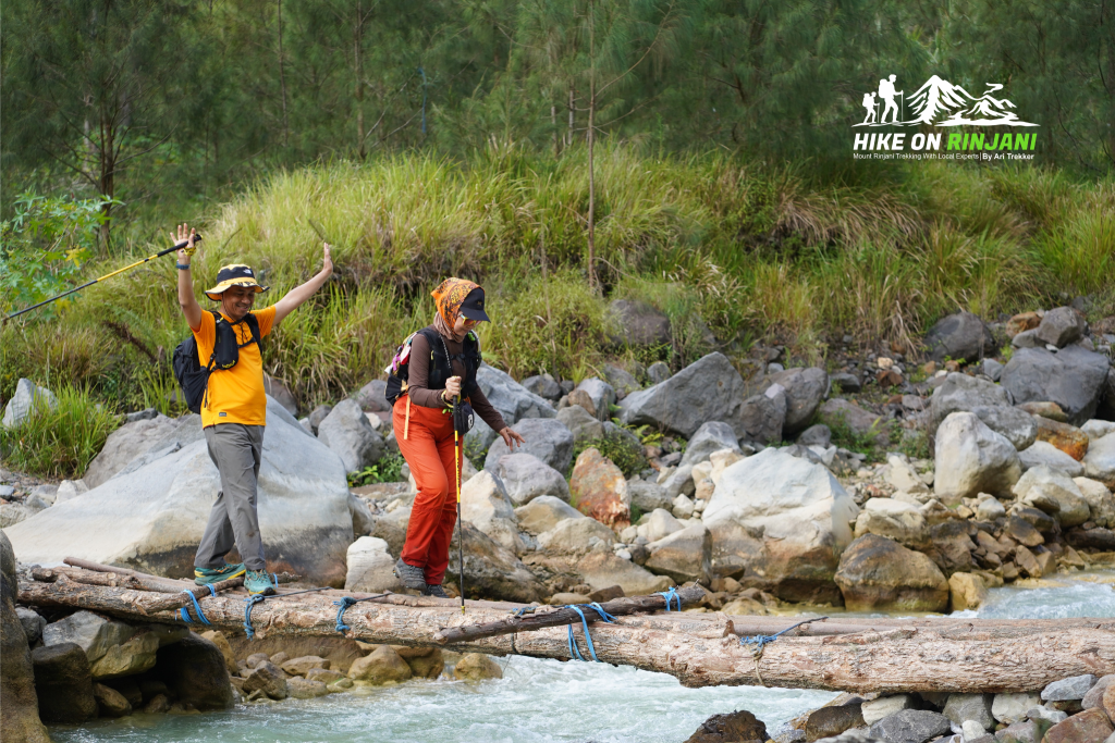 Dramatic River Crossings on the Torean Route